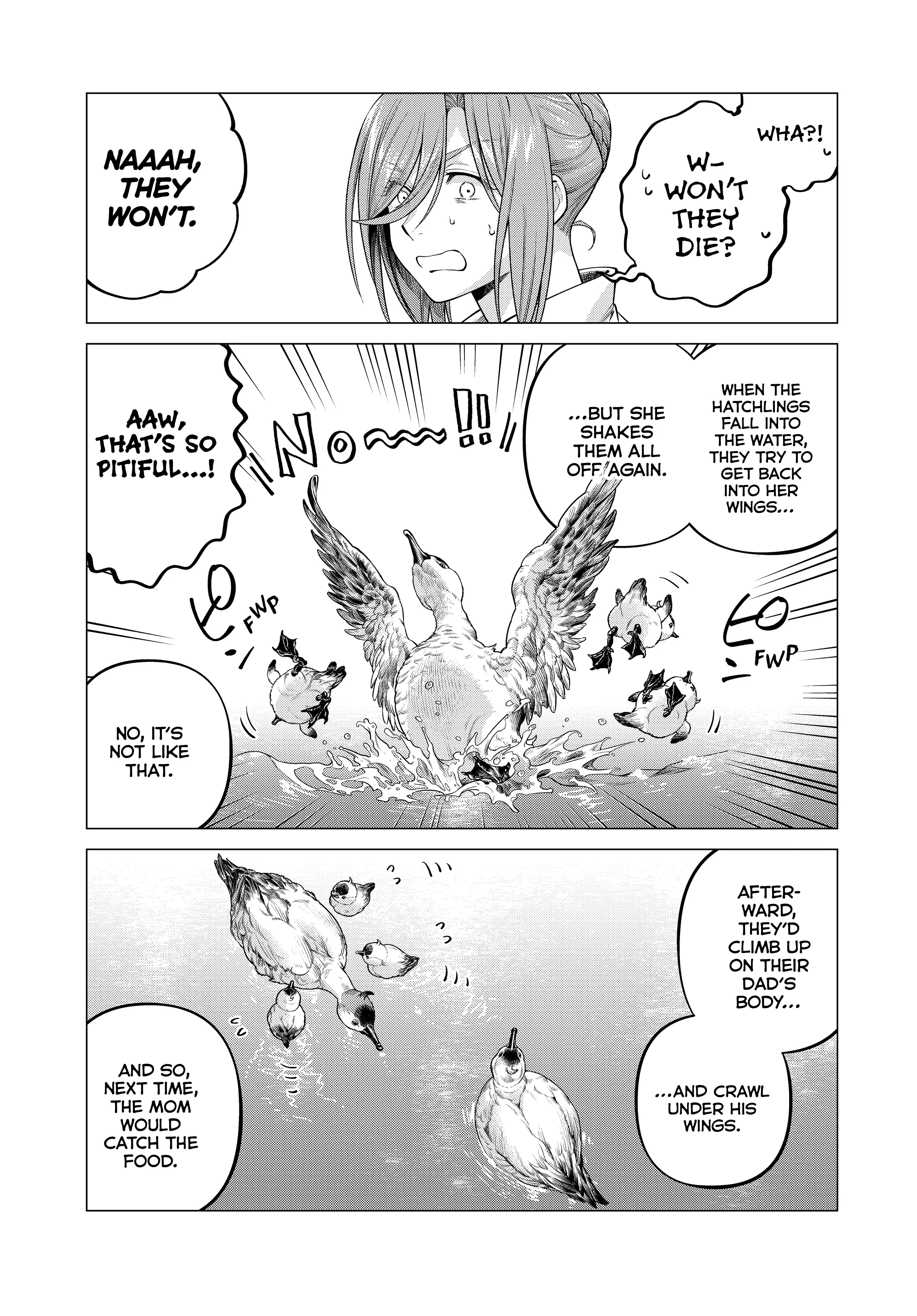 58617484 2000 2871 866328