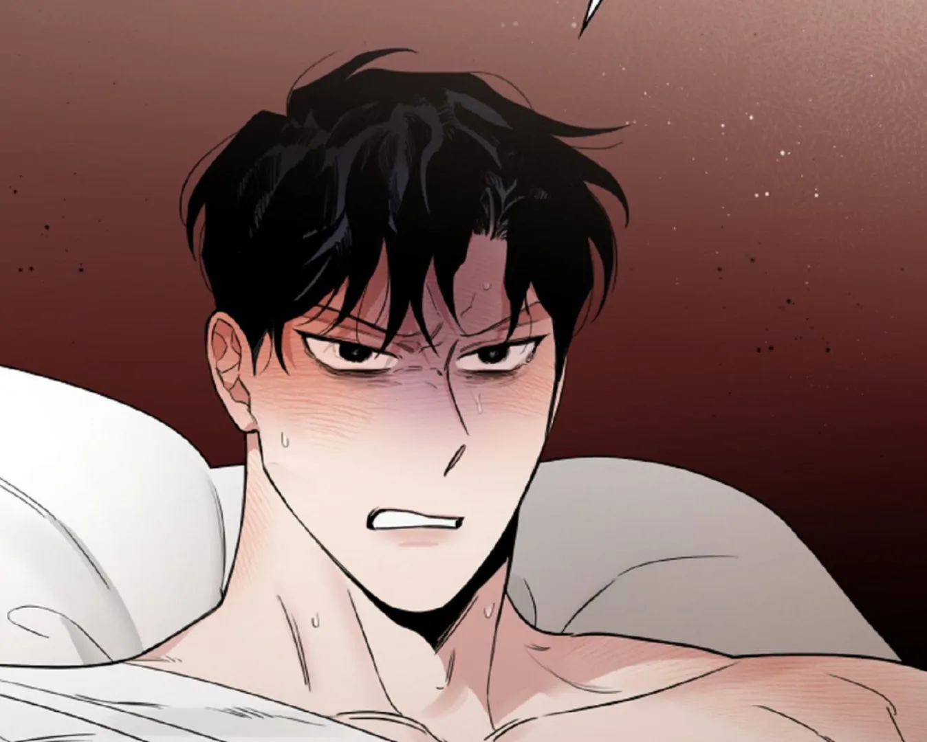 71202144 1348 1080 48096